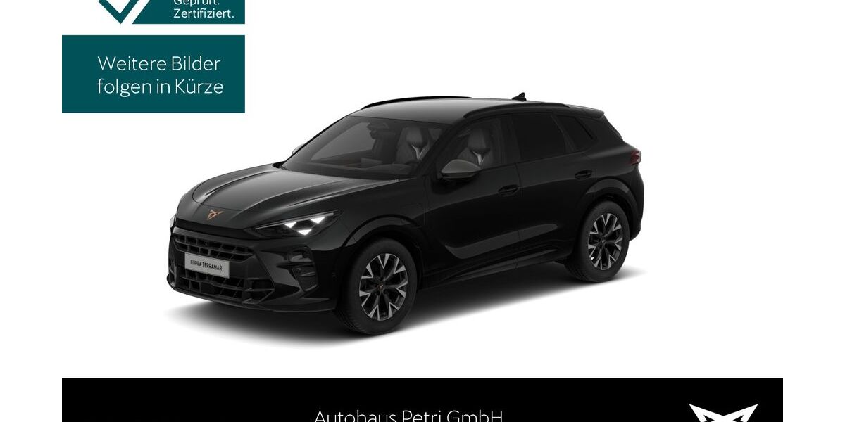 Cupra Terramar 24.269 km 37.730 &euro; Hofheim-Diedenbergen 65719