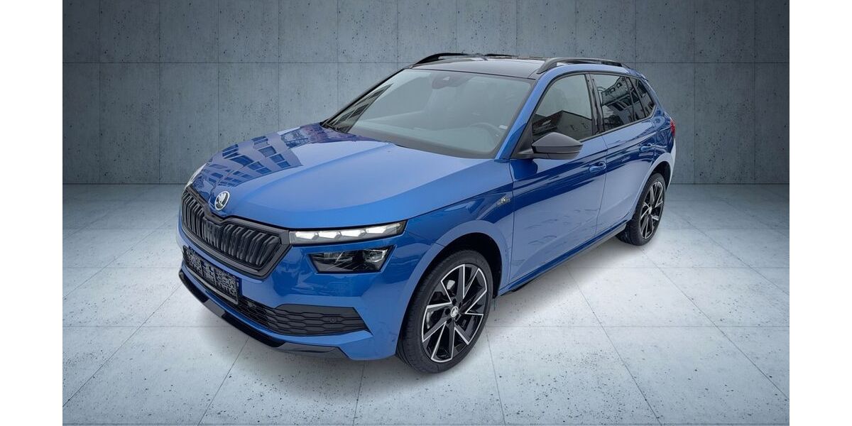 Skoda Kamiq 91.660 km 20.380 &euro; Frankfurt am Main 60528