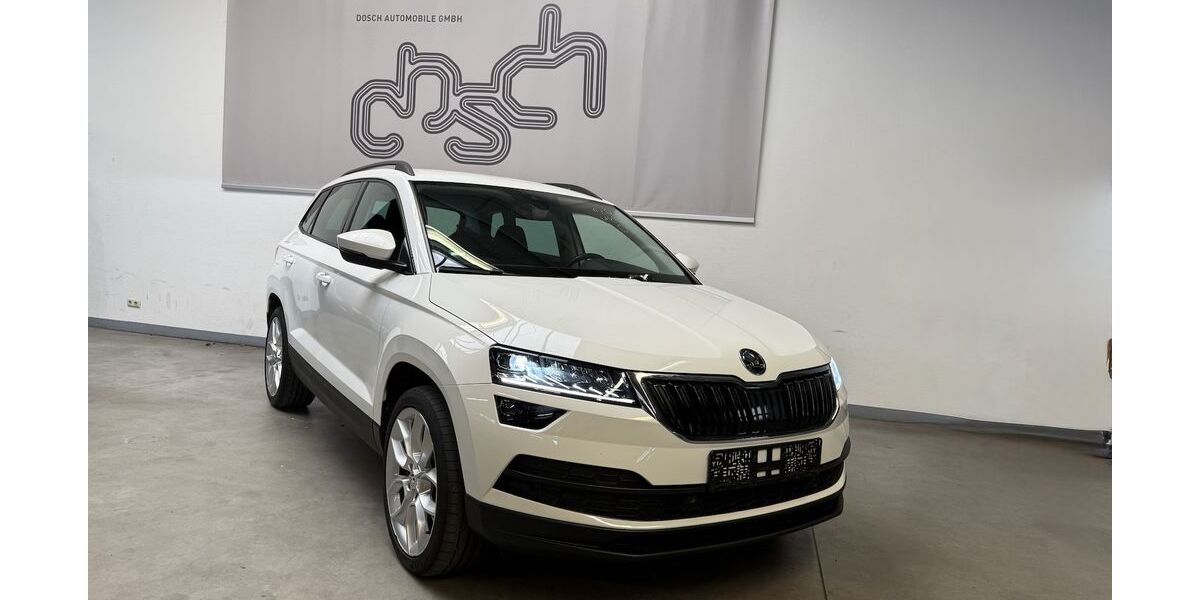 Skoda Karoq 174.079 km 16.890 &euro; Maintal bei Frankfurt am Main 63477