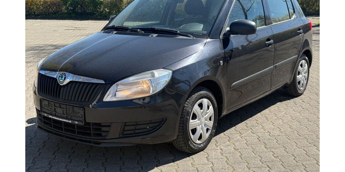 Skoda Fabia 176.000 km 3.980 &euro; Rüsselsheim 65428