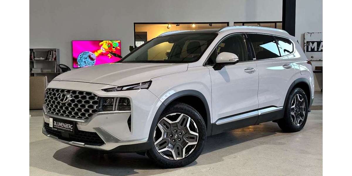 Hyundai SANTA FE 84.921 km 29.980 &euro; Rodgau Weiskirchen 63110