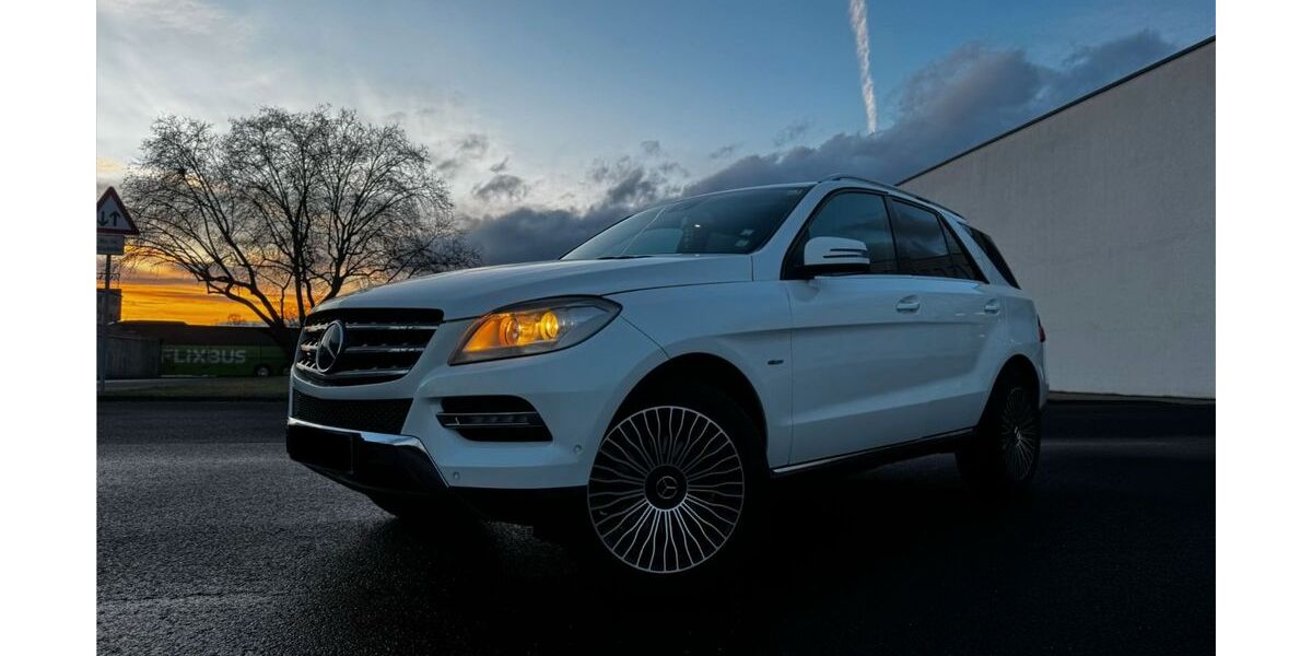 Mercedes-Benz ML 250 239.900 km 12.000 &euro; Frankfurt am Main 60486