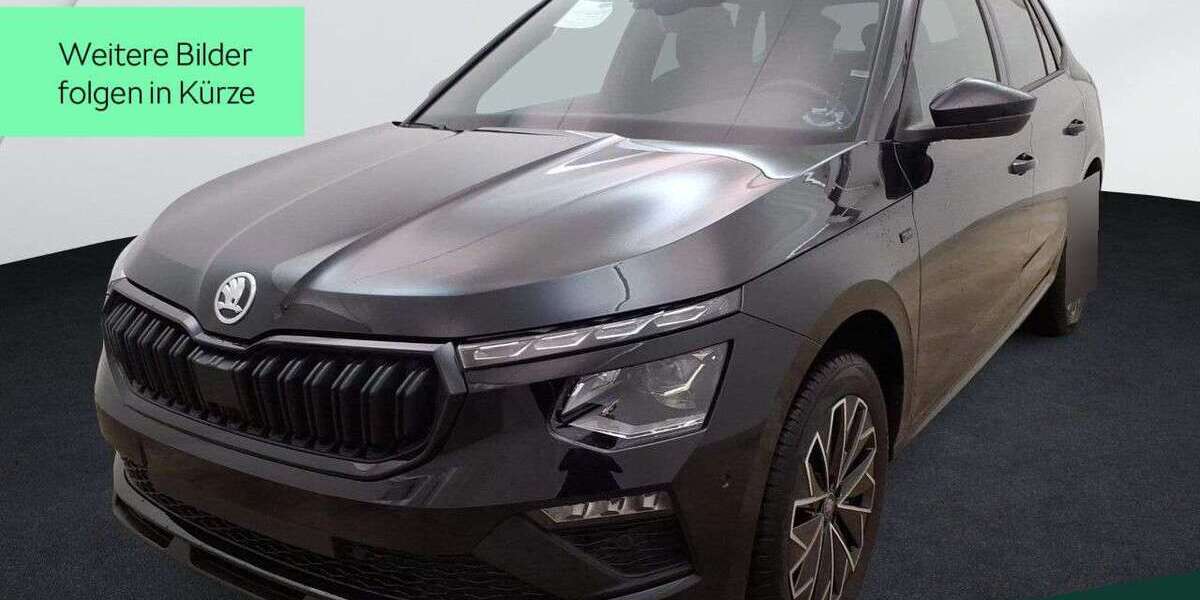 Skoda Kamiq 24.100 km 28.399 &euro; Mühlheim a. Main 63165