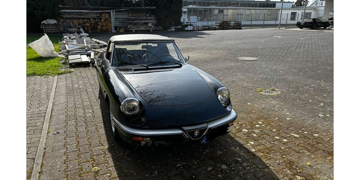 Alfa Romeo Spider 144.958 km 11.500 &euro; Flörsheim 65439