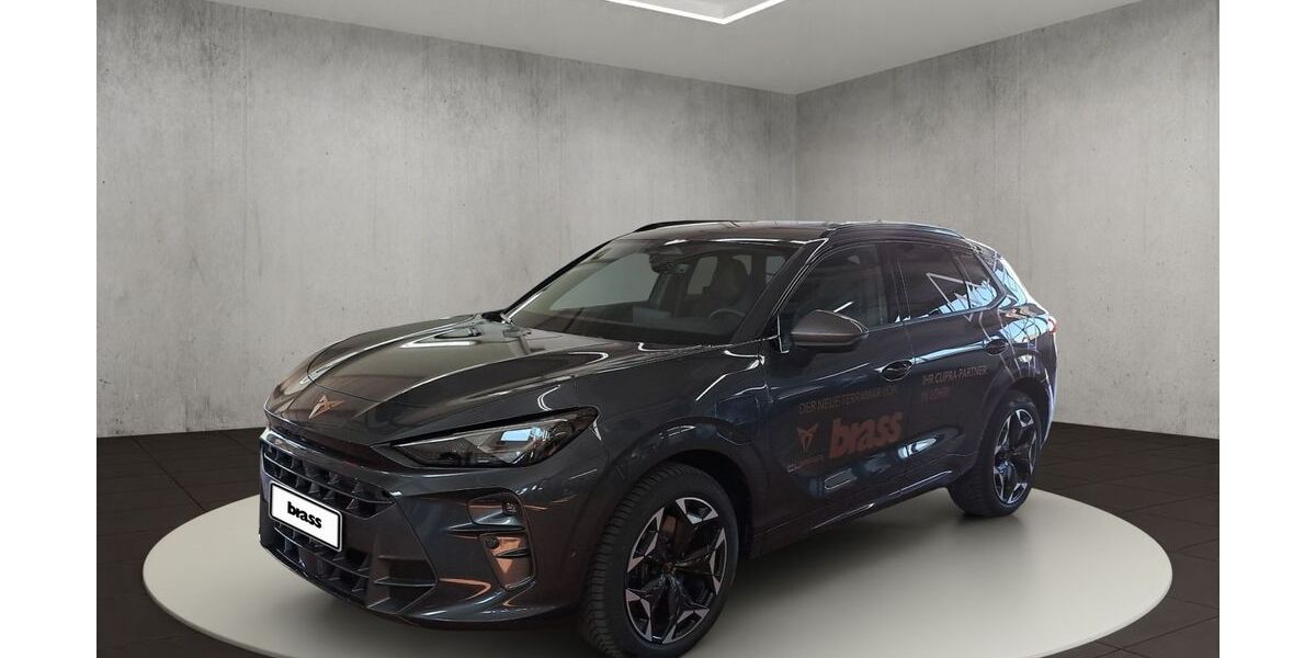 Cupra Terramar 22.000 km 45.700 &euro; Offenbach 63075