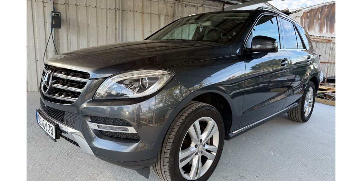 Mercedes-Benz ML 350 229.750 km 14.999 &euro; Nauheim 64569