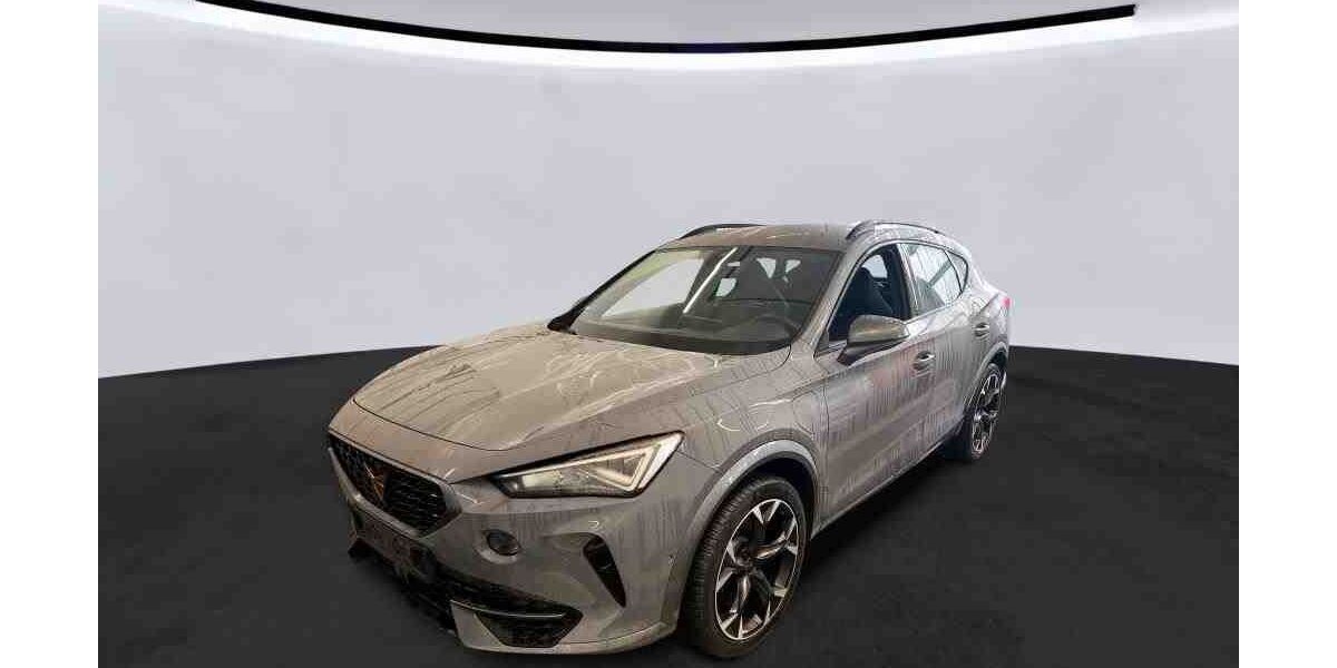 Cupra Formentor 41.900 km 24.999 &euro; Mühlheim 63165