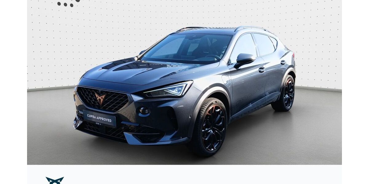 Cupra Formentor 50.947 km 29.780 &euro; Hofheim-Diedenbergen 65719