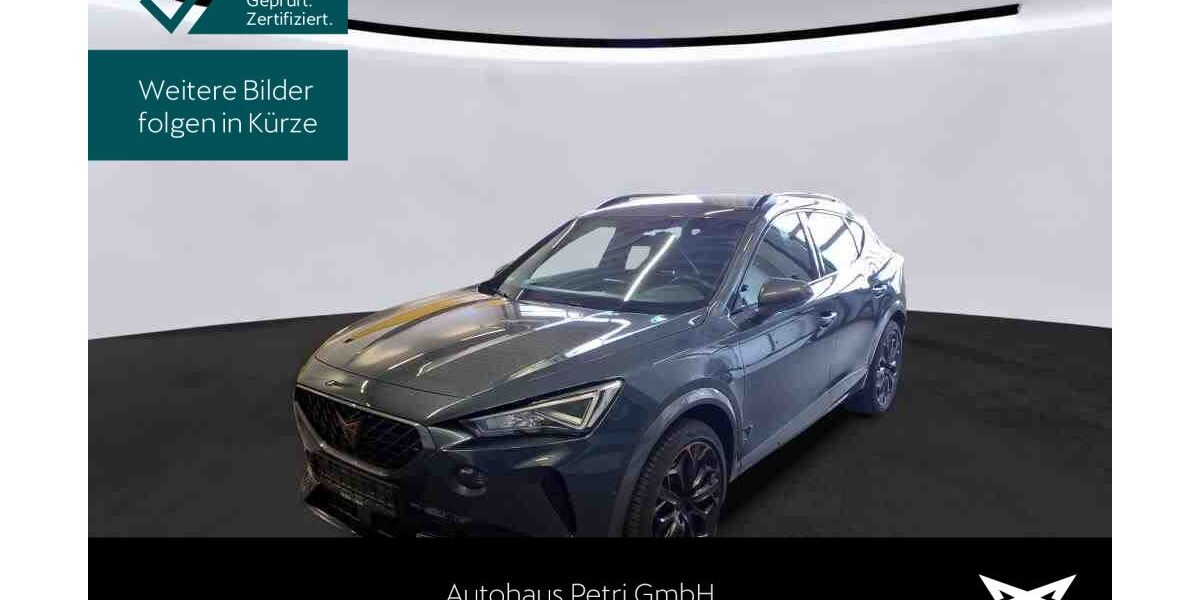 Cupra Formentor 20.315 km 26.430 &euro; Hofheim-Diedenbergen 65719