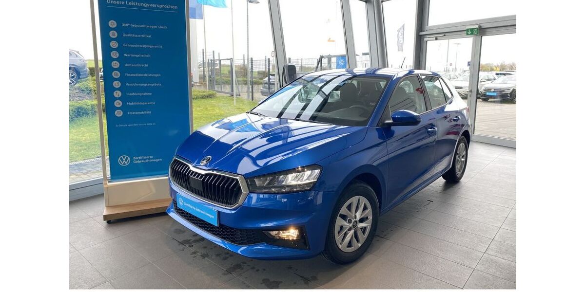 Skoda Fabia 1.100 km 19.850 &euro; Bad Vilbel 61118