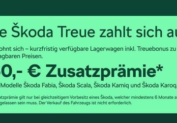 Skoda Fabia 4.500 km 22.480 &euro; Frankfurt 60435