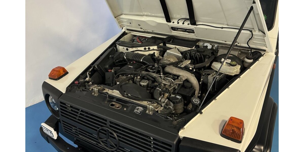 Mercedes-Benz G 280 CDI Professional BF-Goodrich ORC Dachtr. 184.500 km 66.500 &euro; Dreieich 63303