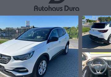 Opel Grandland X 113.500 km 16.900 &euro; Rüsselsheim 65428