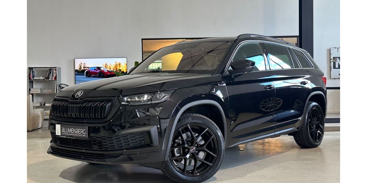 Skoda Kodiaq 76.509 km 34.980 &euro; Rodgau-Weiskirchen/nähe Frankfurt am Main 63110