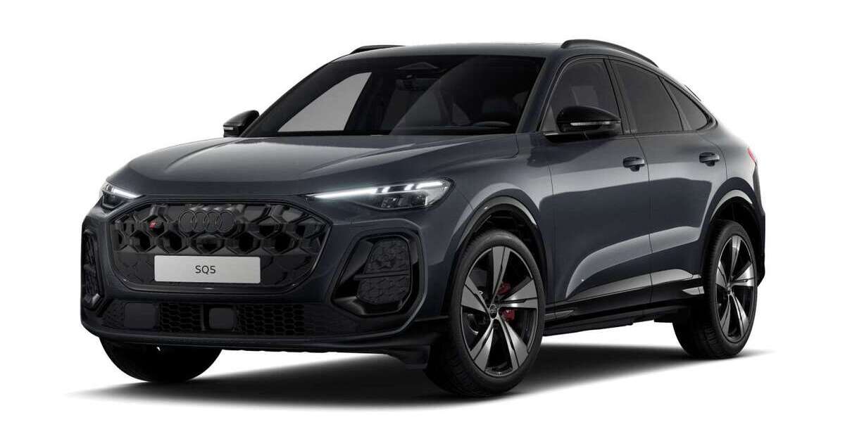 Audi SQ5 2.500 km 80.999 &euro; Mühlheim a. Main 63165