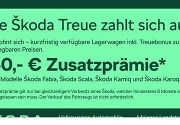 Skoda Fabia 4.500 km 23.980 &euro; Frankfurt 60326