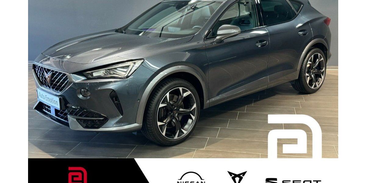 Cupra Formentor 34.300 km 29.981 &euro; Offenbach 63069