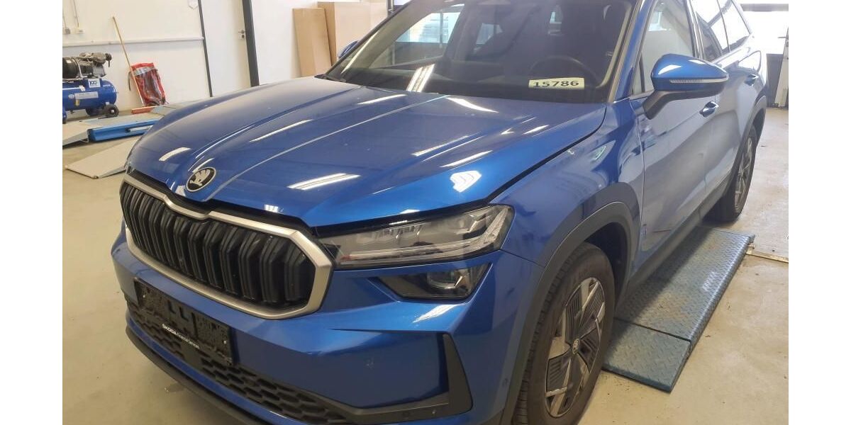 Skoda Kodiaq 45.000 km 44.988 &euro; Darmstadt 64293
