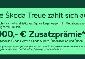 Skoda Octavia 20.200 km 41.980 &euro; Frankfurt 60435