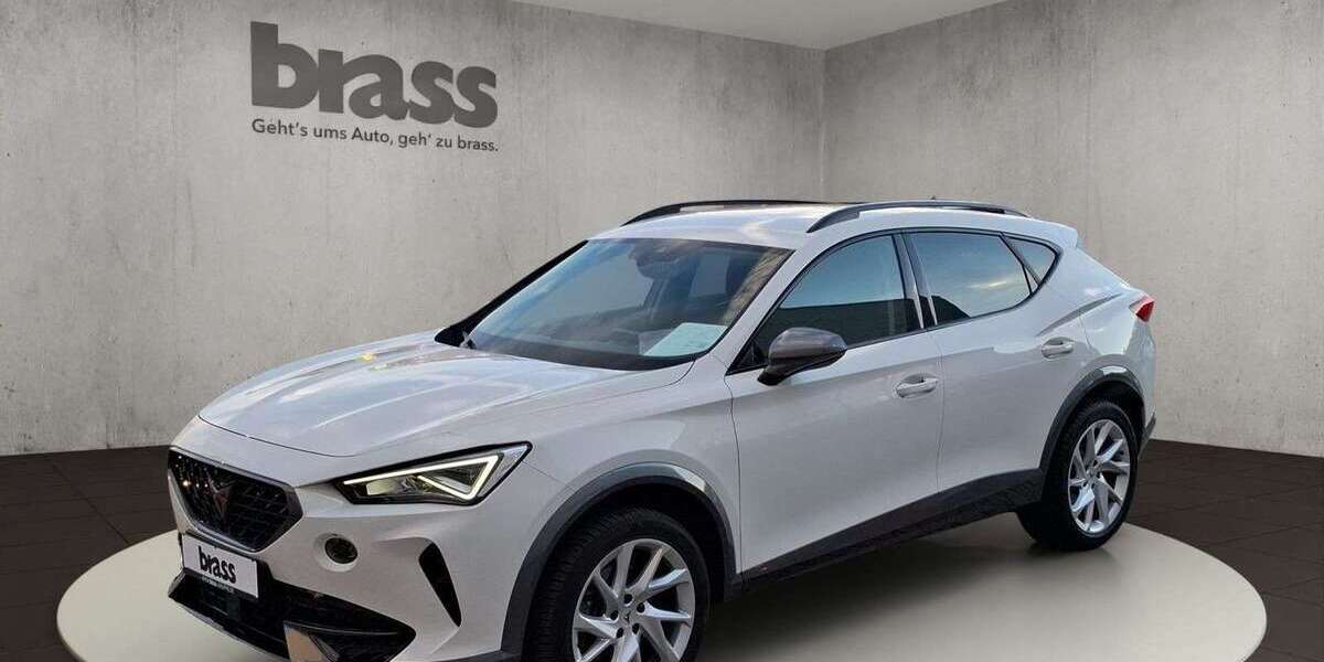 Cupra Formentor 29.750 km 24.180 &euro; Frankfurt-Rödelheim 60488