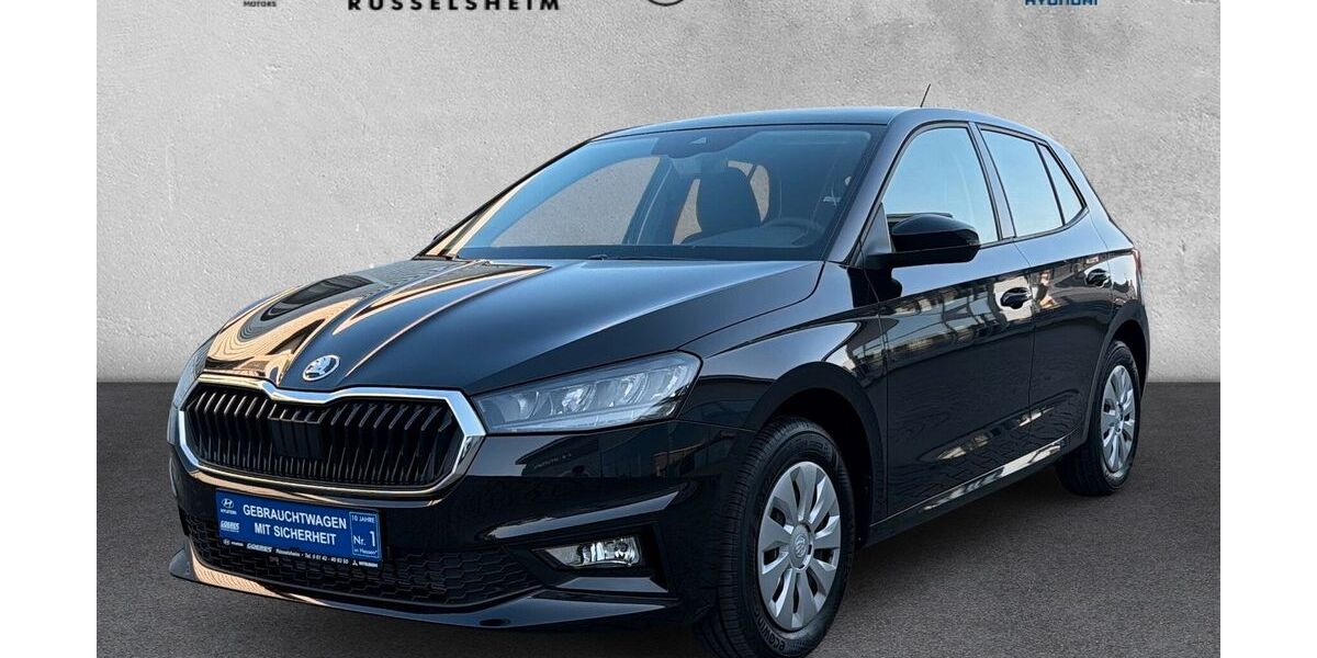 Skoda Fabia 2.100 km 22.470 &euro; Rüsselsheim 65428