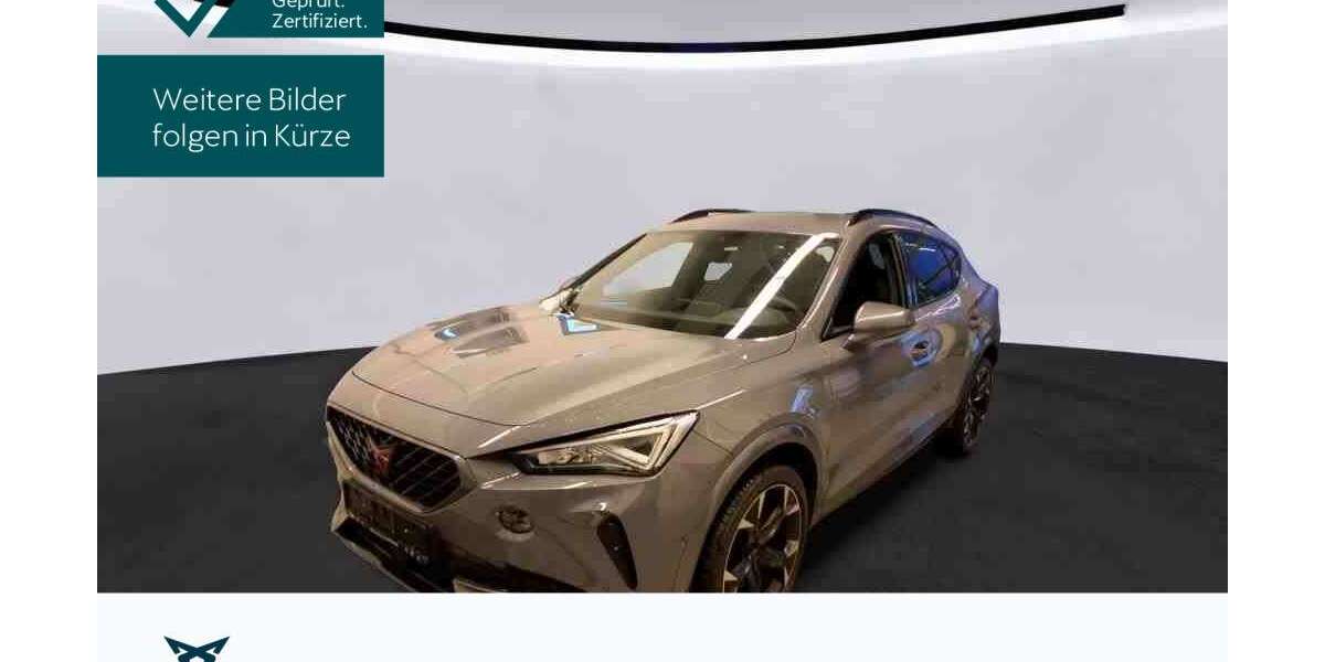 Cupra Formentor 38.968 km 24.930 &euro; Hofheim 65719