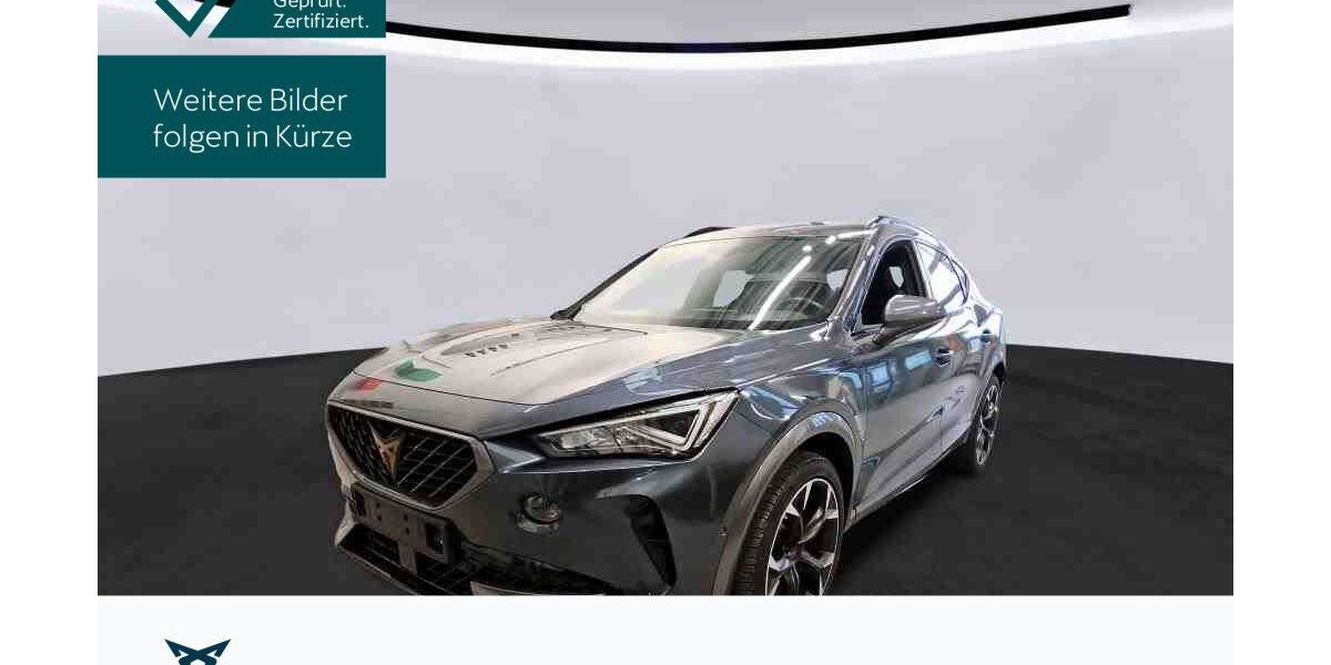 Cupra Formentor 50.095 km 26.390 &euro; Hofheim-Diedenbergen 65719