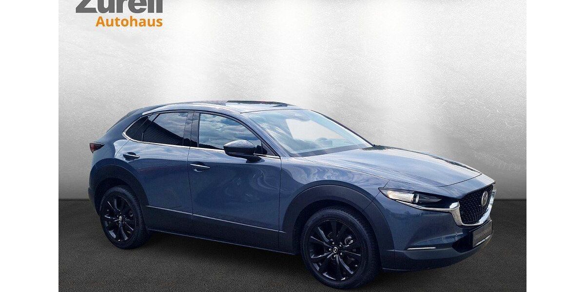 Mazda CX-30 17.143 km 24.777 &euro; Darmstadt 64293