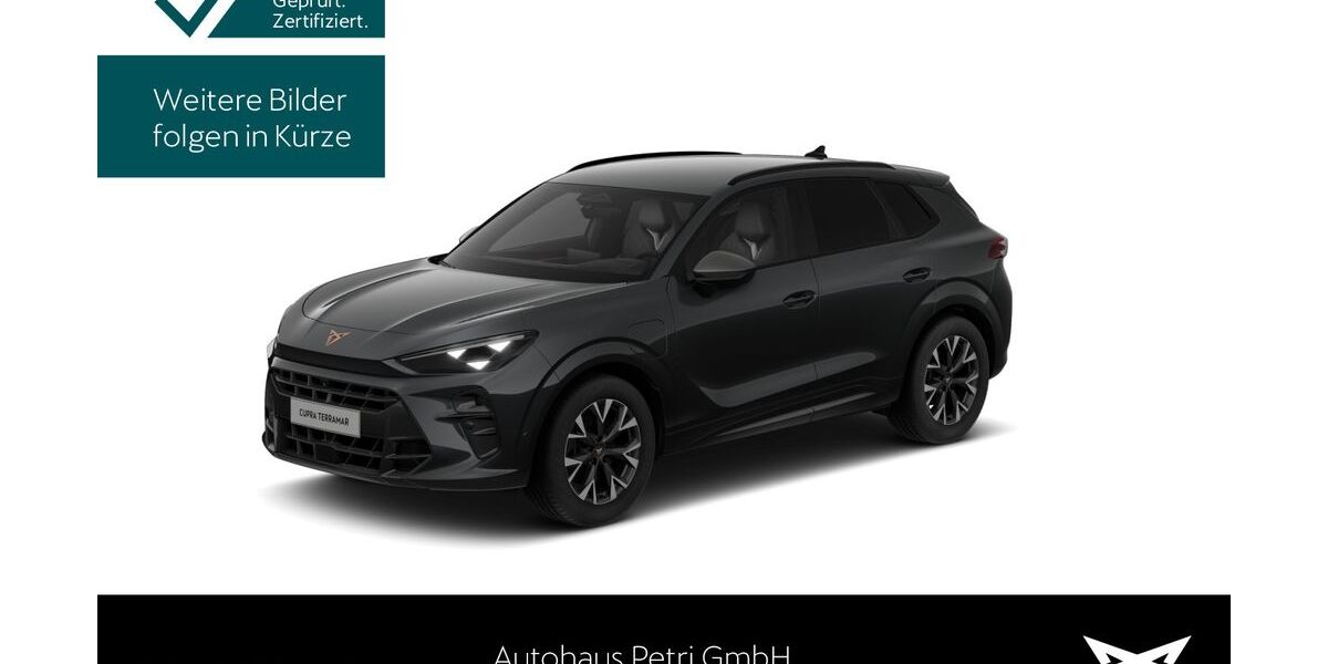 Cupra Terramar 23.366 km 37.430 &euro; Hofheim-Diedenbergen 65719