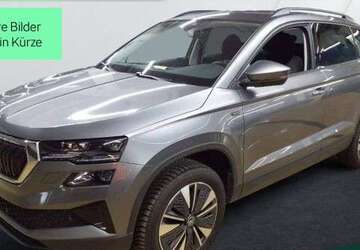 Skoda Karoq 29.400 km 32.449 &euro; Mühlheim a. Main 63165